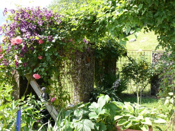 Sichtschutz im Garten