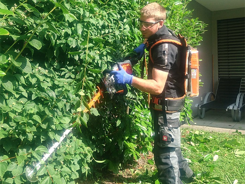 Ran an die Hecke