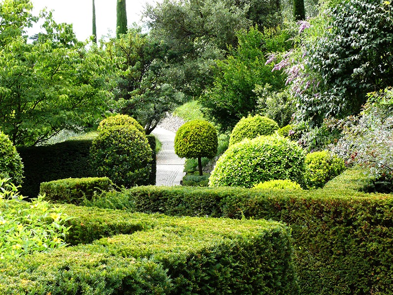 Ran an die Hecke