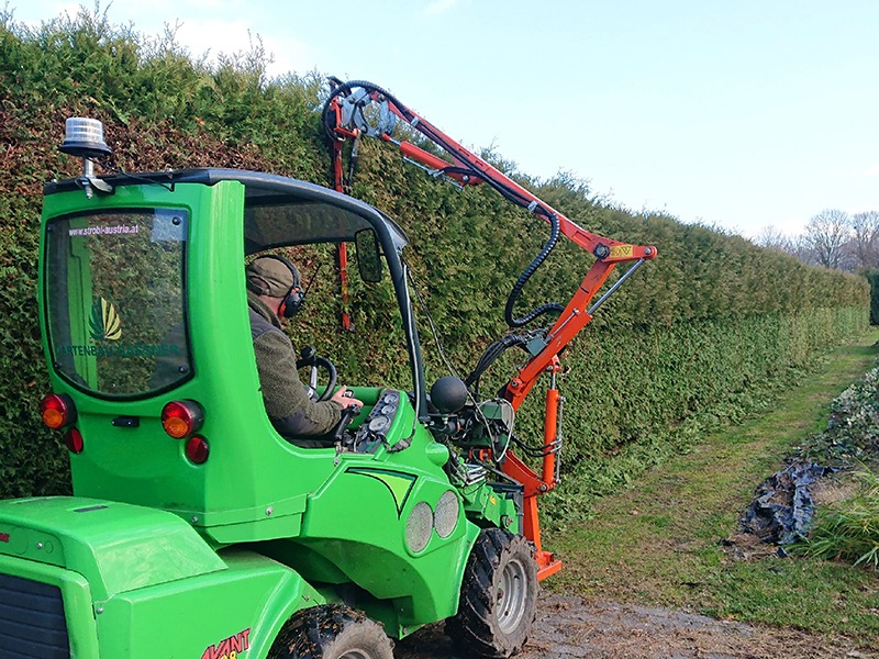 Ran an die Hecke