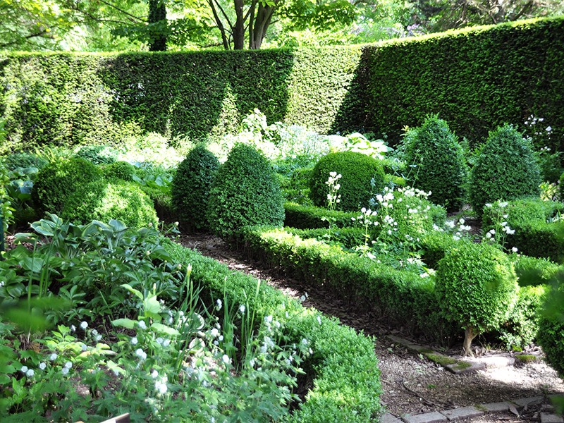 Ran an die Hecke