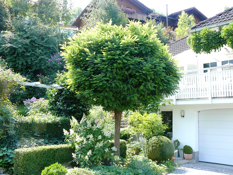 Werte deinen Garten auf