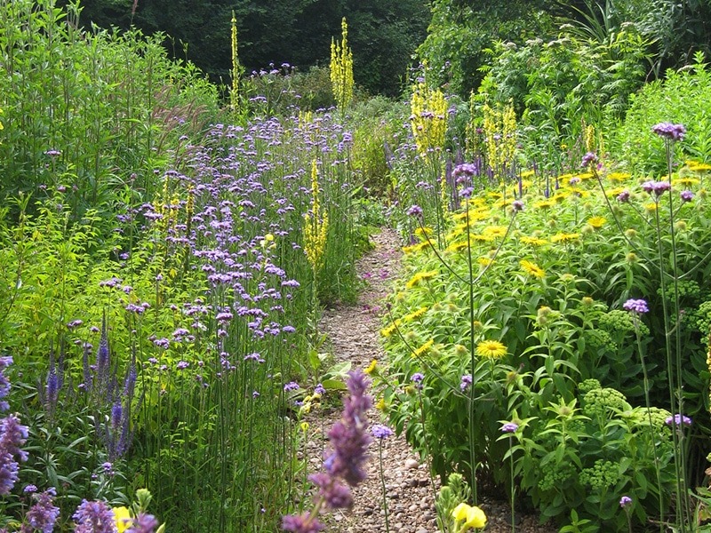 Mit der Natur im Garten