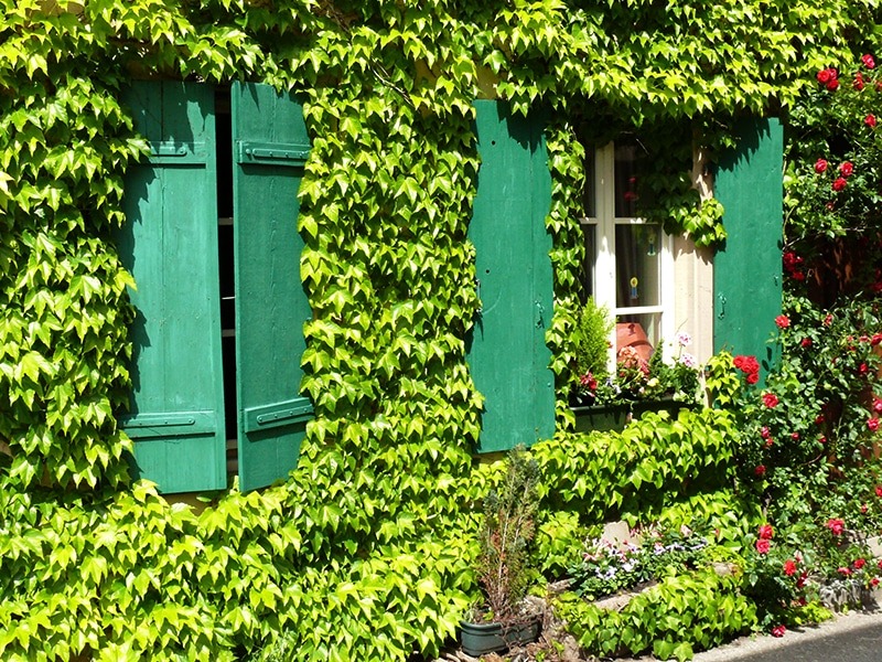 Mit der Natur im Garten