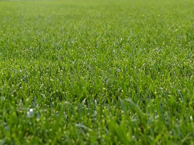 GT_20.07.2021_5