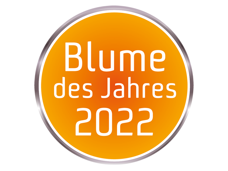 06-button-bdj2022