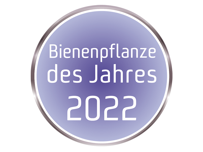 10-button_bpfdj2022