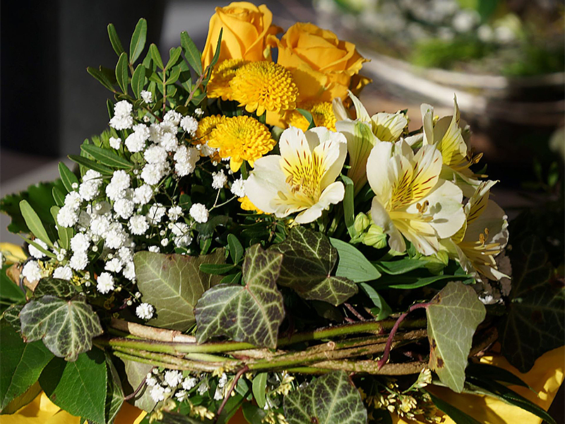 Valentinstag schenk Freude mit Blumen! VORARLBERGER GÄRTNER & FLORISTEN