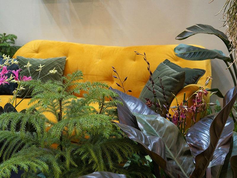Grünpflanzen vor gelber Couch