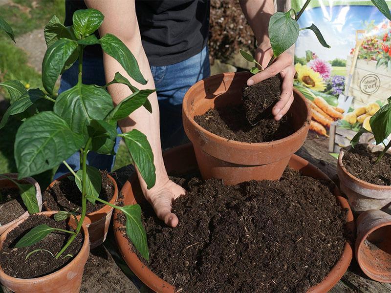 Für jede Situation die passende Erde VORARLBERGER GÄRTNER & FLORISTEN